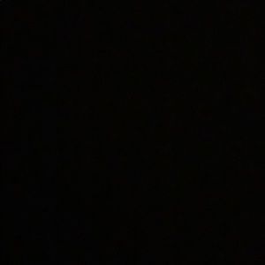 Meet your Posher, Julian